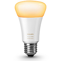 Philips Hue Vulnerability Shines Light on Possible IoT Security Nightmare | Consumer Security