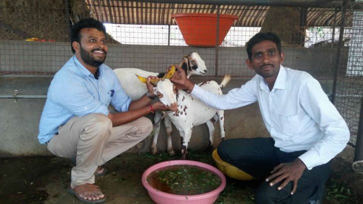 Scientist Quit Job In US, Earning Lakhs From Remote Village By Rearing Goats