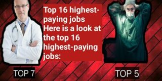 Top 16 Highest Paying Job