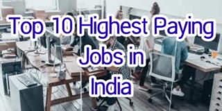 Top 10 Highest Paying Jobs in India