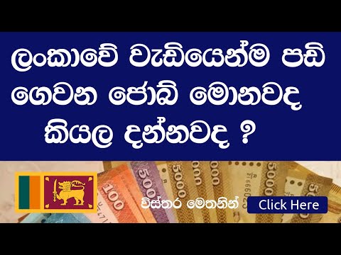 Highest paying job titles in Sri Lanka -ලංකාවේ වැඩියෙන්ම ගෙවන  ජොබ්