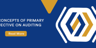 The Concepts of Primary Objective on Auditing – Manage Finance Accurately