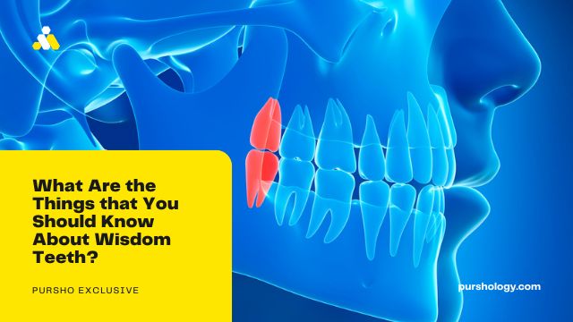 What Are the Things that You Should Know About Wisdom Teeth?