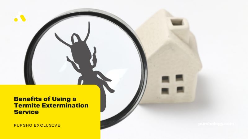 Benefits of Using a Termite Extermination Service