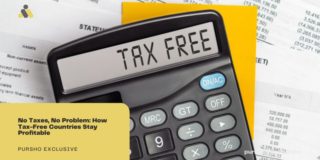 No Taxes, No Problem: How Tax-Free Countries Stay Profitable