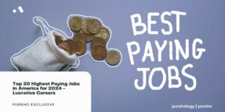 Top 20 Highest Paying Jobs in America for 2024 - Lucrative Careers