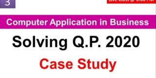 Solving QP- 2020- Computer Application in Business – Case Study