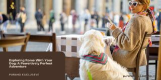 Exploring Rome With Your Dog: A Pawsitively Perfect Adventure