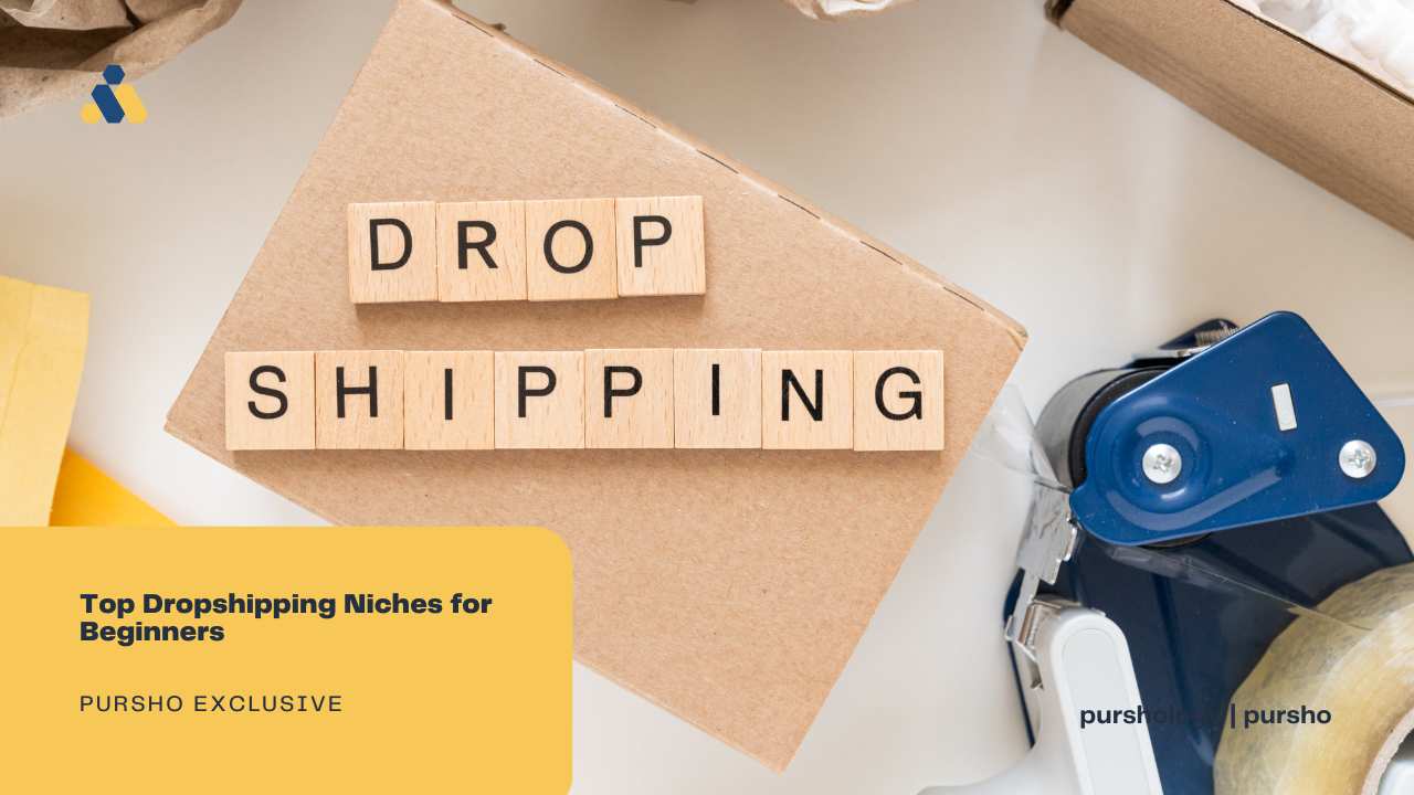 Top Dropshipping Niches for Beginners